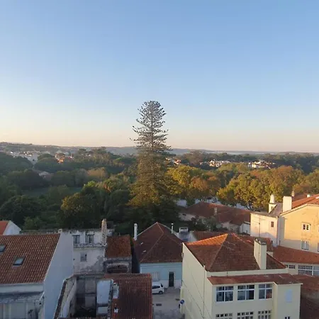 Caldas Da Rainha's & Brown Daire