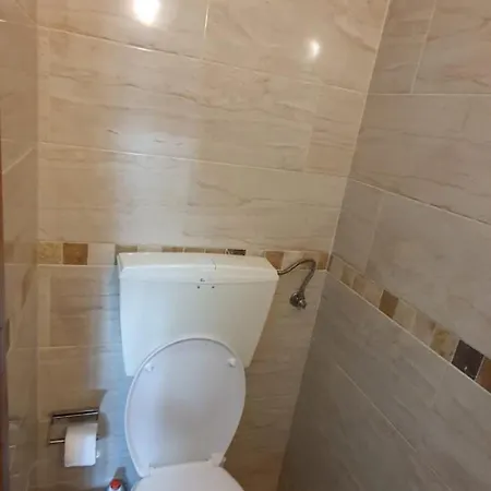 Caldas Da Rainha's & Brown Daire