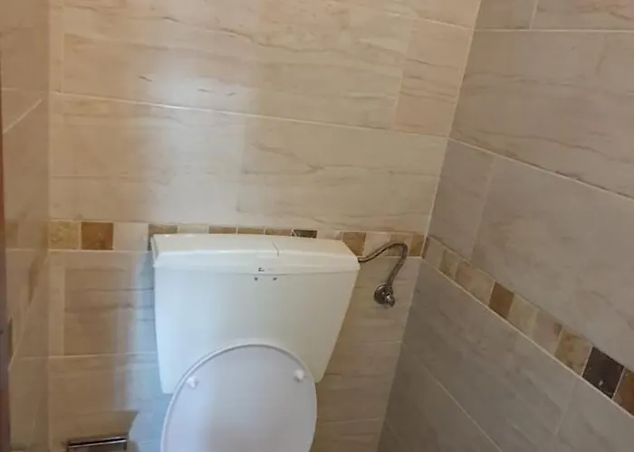 Caldas Da Rainha's & Brown Apartamento